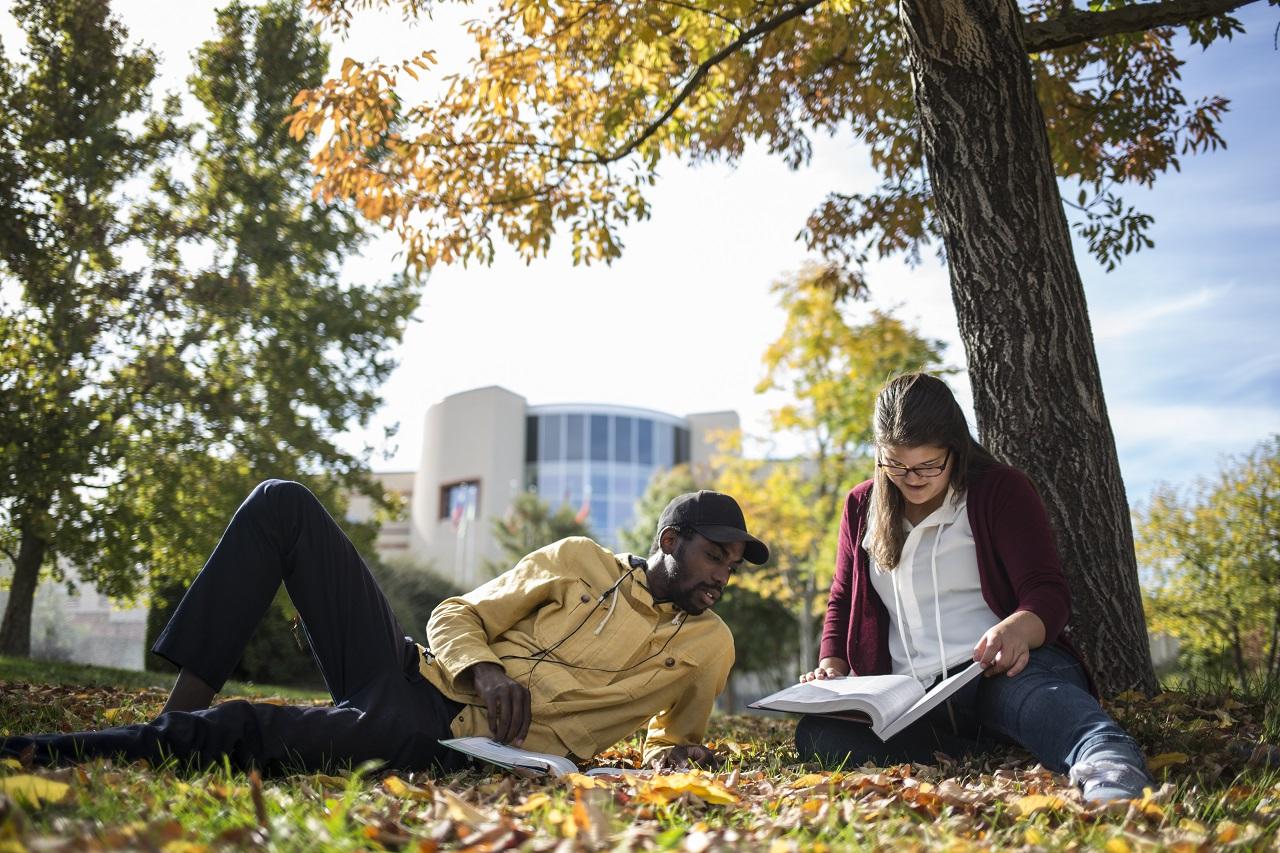 Two students studying under a tree in a courtyard on campus surrounded by yellow, 红色的, and orange leaves that have fallen from the tree above them.